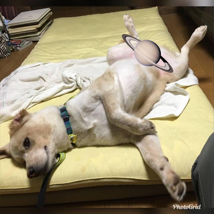 15813ced a3cd 44b8 a05b 38d75f26e883 1531138243291