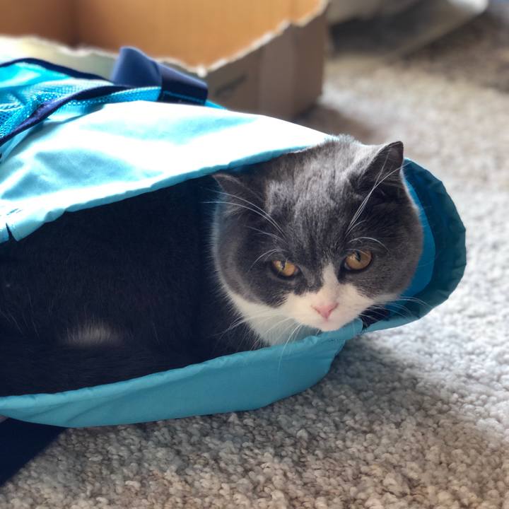 158156e3 077a 45d6 9b8f aadff56b9f6a 1548850033089