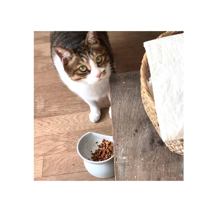 1581691d 3112 476e 91e0 62fd980bef0a 1616216365665