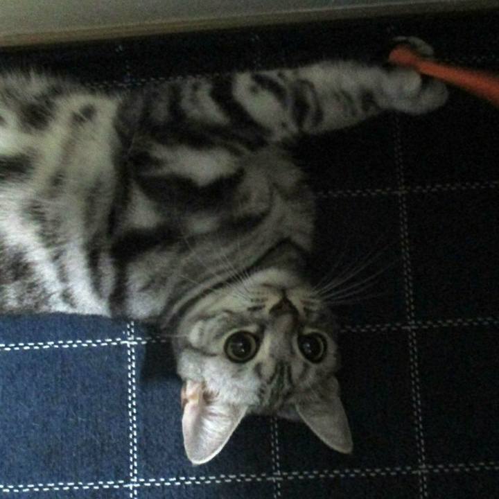 1581926a 50ca 4a11 a127 6ee8ad990e1a 1561117523058