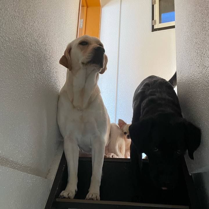 1581cd3f 8773 491a a5c7 1ce00045ff9a 1668667341603