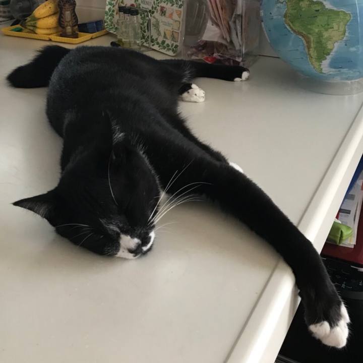 1581e02b ec42 4a32 824c 80dac6bb41f3 1531453629110