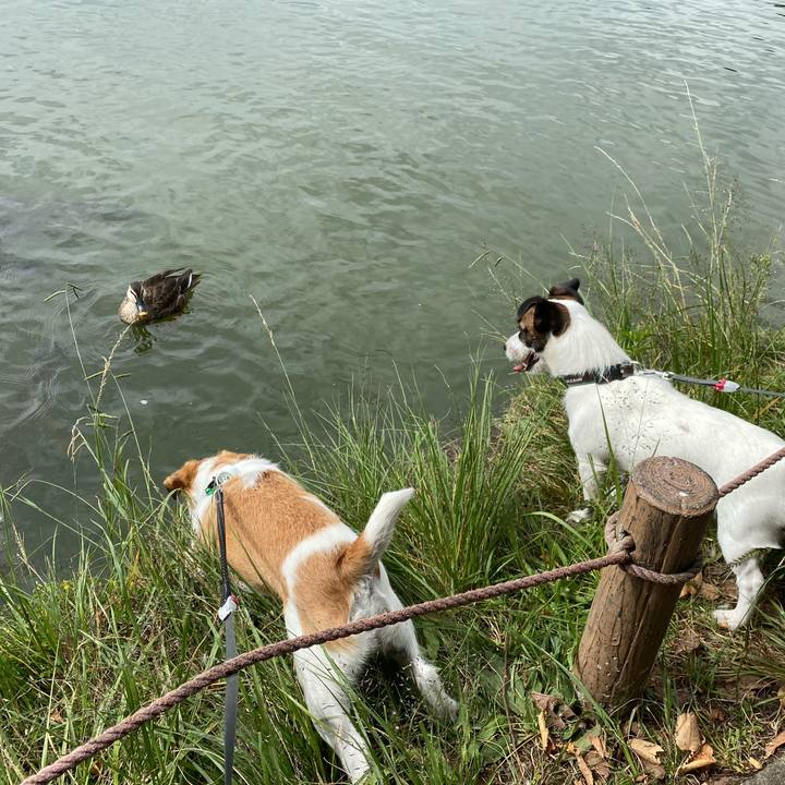 1581e09a 3cc4 4ad2 9e44 7cbb67b28a1d 1602081829487