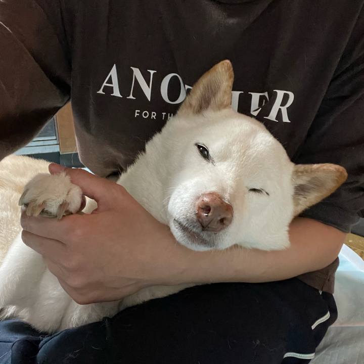 15828ac9 6f83 45c6 9bcf da7beef51c19 1637759763364