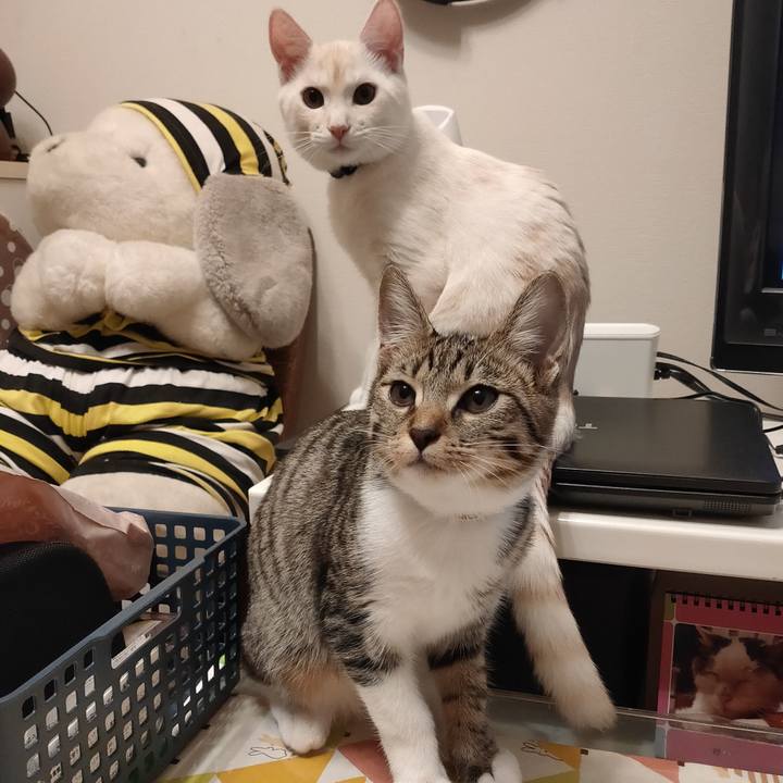 15829e03 46aa 44c6 b787 1213168b2f20 1631596259445