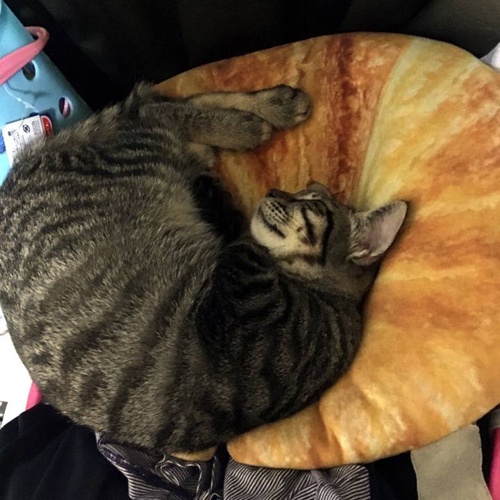 1582d6f1 a71f 4696 af81 d39d94b04fc6 1537273342113