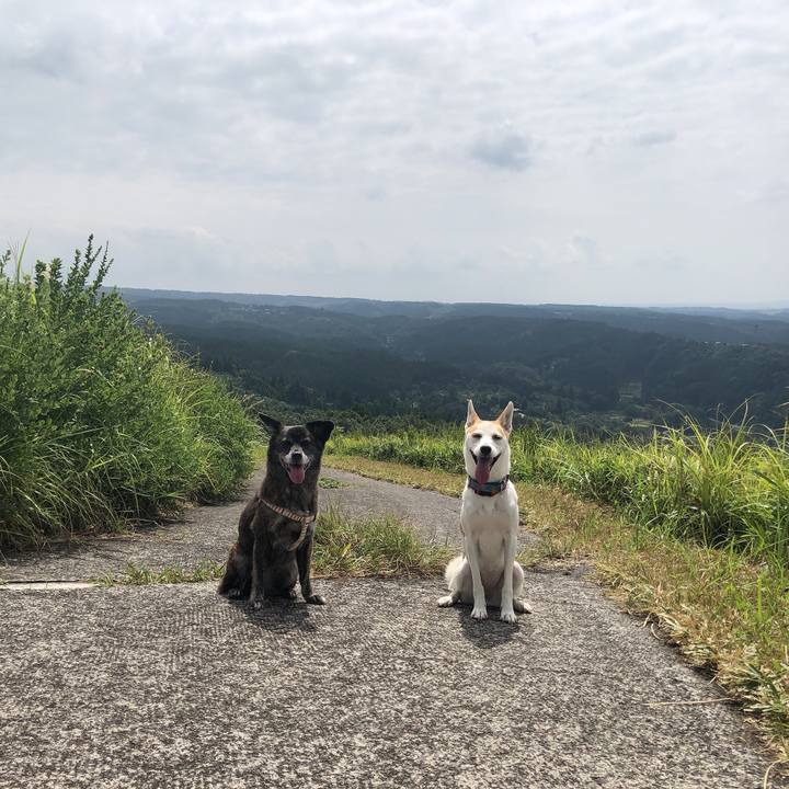 1582f0d0 4abd 4486 85fe 1dd490364ce5 1599214611819