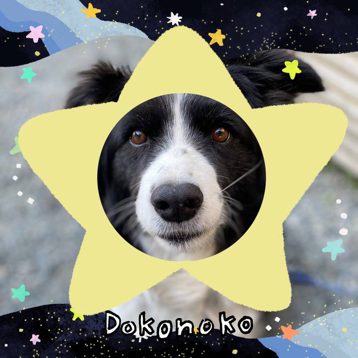 15832f31 de7d 466d 8919 933dd86f88e0 1720791711560