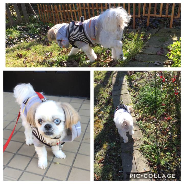 15834a9a 6f83 4aef 92d8 057674ca042f 1574996503074