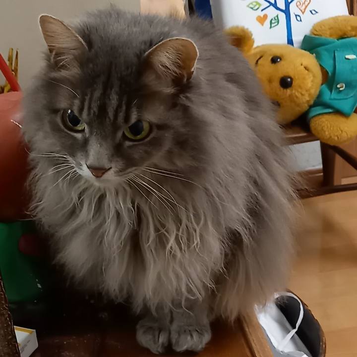 158354ff c642 45d1 a248 14e8db462fc9 1615930087306