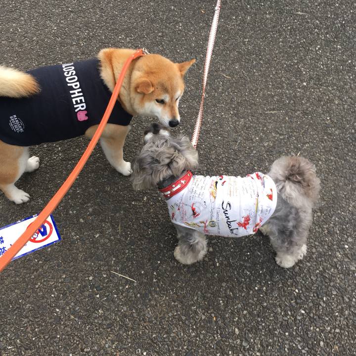 158357a0 a5da 4004 a031 5243422c8bbb 1559642822024