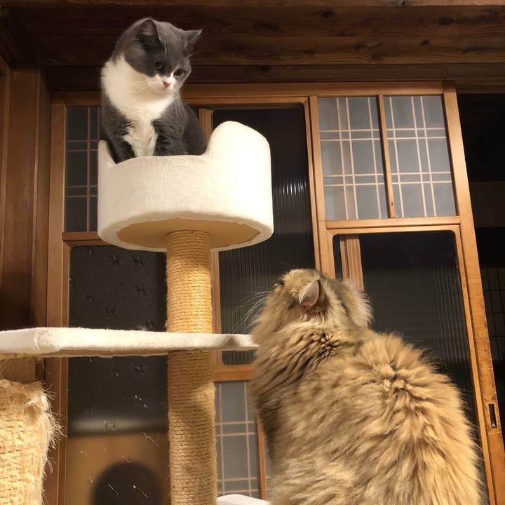 1583623e 9535 49f8 9386 9fc2d3f57e13 1568336894247