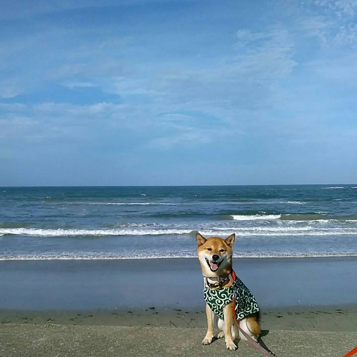 15836e0c 69cb 4c54 9244 902ef1b4758d 1565015710907