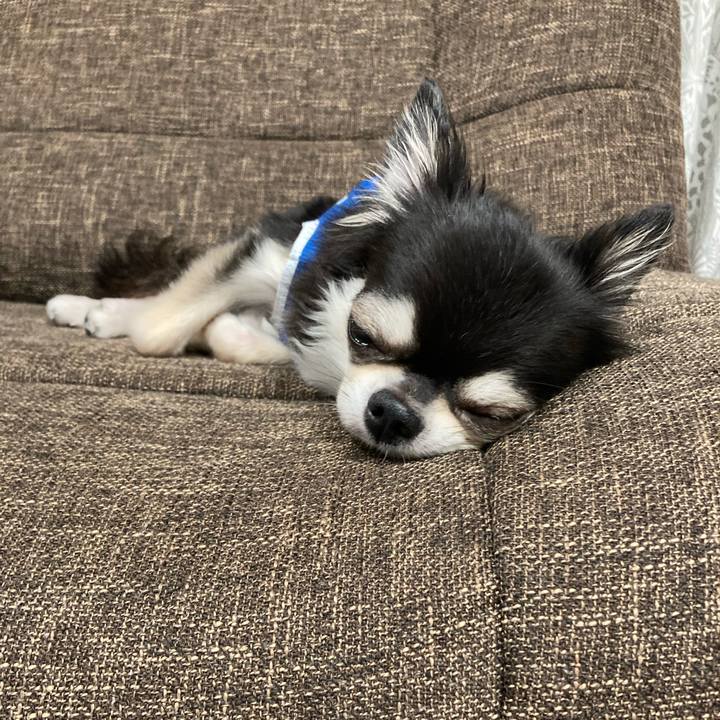 15836ec6 ff37 4fc2 8fbd e1fcb4319f79 1692460937201