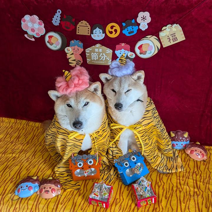 15837269 da2c 4eea 9172 1952ce75fe01 1770092746724