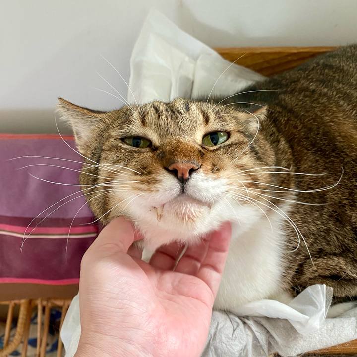 15838130 02ae 4b48 af5b 36e1e573e547 1758607719366