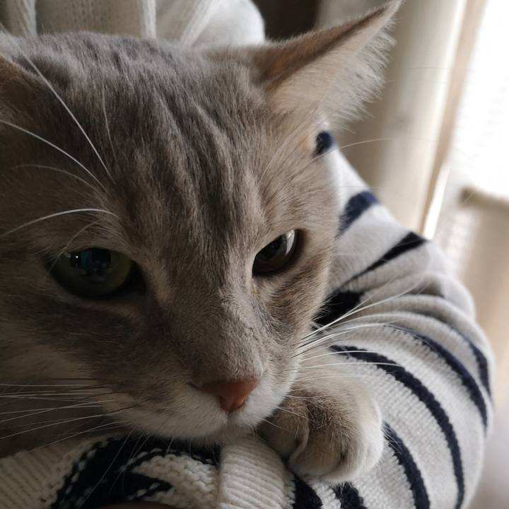 1583b3df 61ad 478b a384 0221adbd11c9 1574213013807