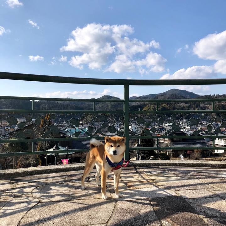 15840b1b a388 4a10 9f93 94884824f6e1 1519372132578