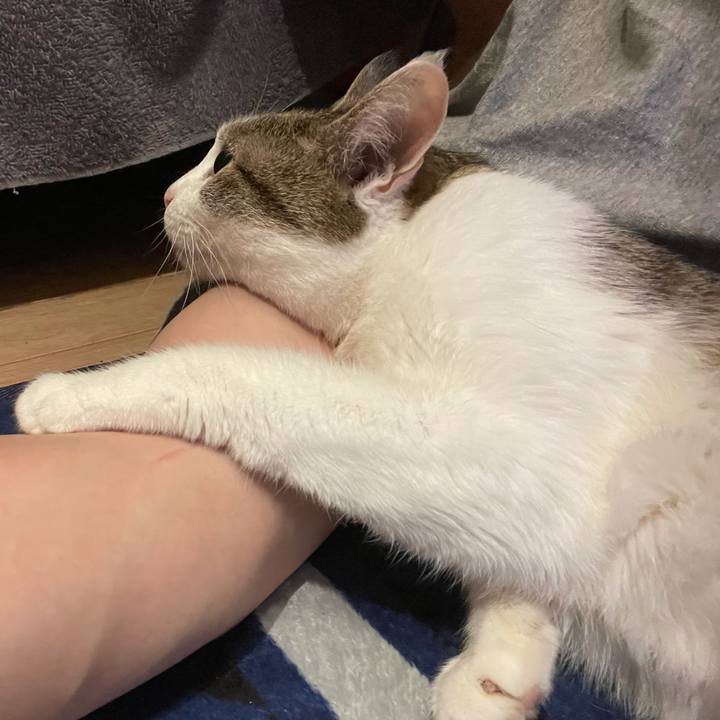 15842bb8 de9c 424a af6e 6d26f5cef588 1626093415468