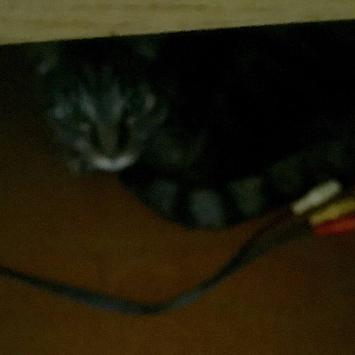 15843be8 764a 4c6b b5b5 f49007b8a299 1534723168056