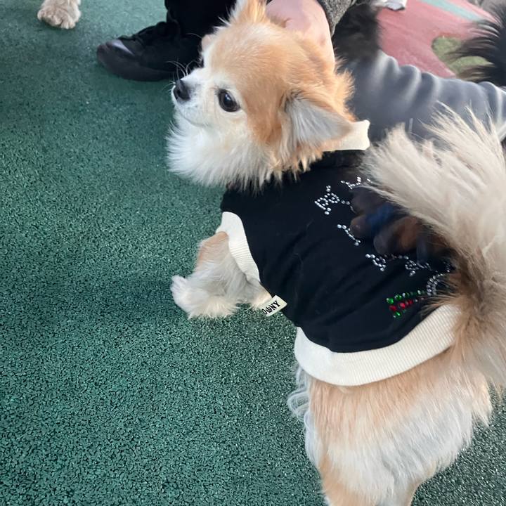 15844bba 34bc 45fa 8bd0 2d0b33c0211b 1769335378996