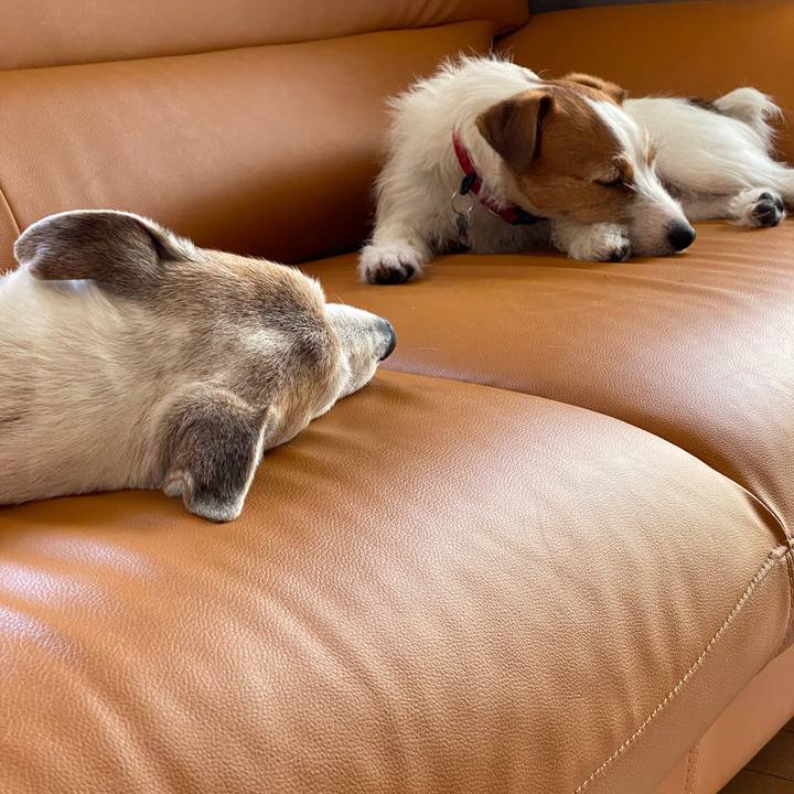 15845398 3ca2 4a6c baaf 13116a36eea7 1649211537466