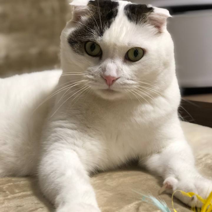 15845a23 b440 4168 b65b ec401c173b7a 1538478491433