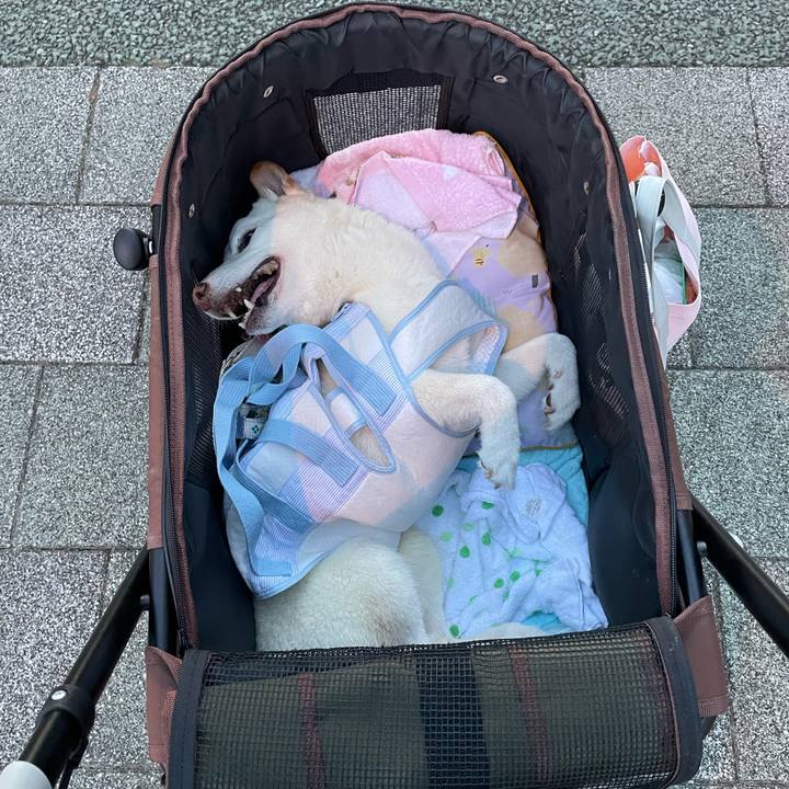 15846ca3 2378 49d9 beca 81b20336ec6e 1660828069890