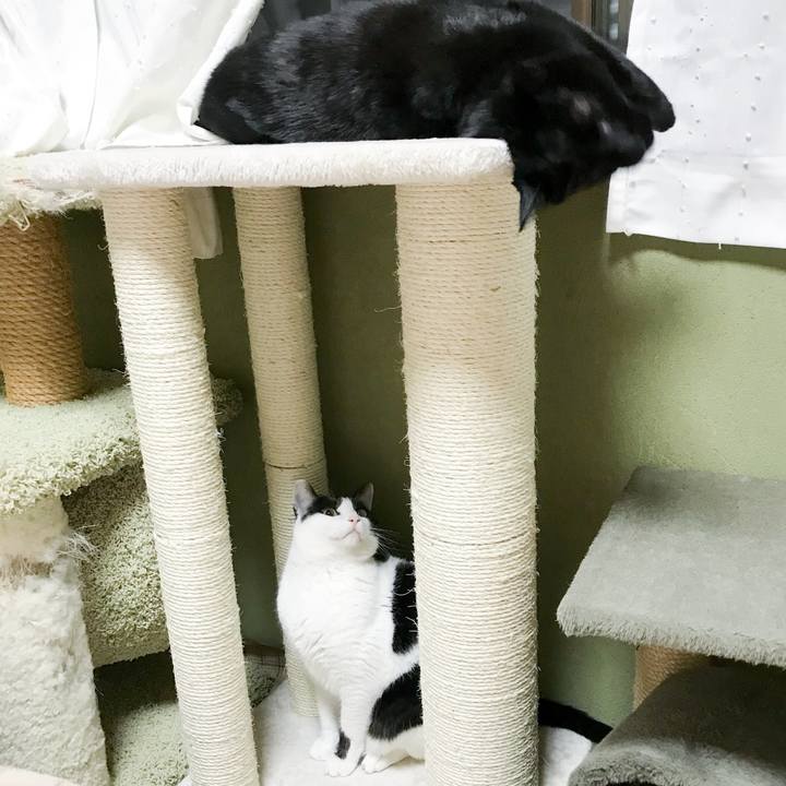 1584c514 d26f 46ec 9903 061ac09a162d 1521122899770