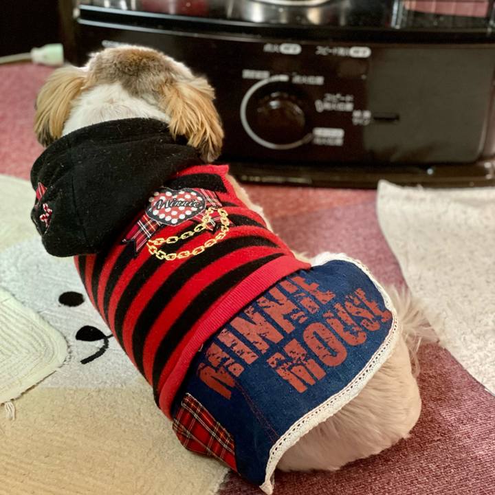 1584cd7f 0584 4c96 b290 bce2ea04e0fa 1639878103949