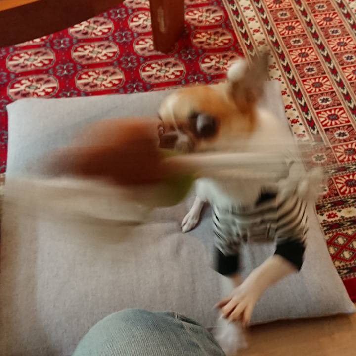 1584ffd0 3889 43c3 bff3 cf081ed26e35 1563836040297