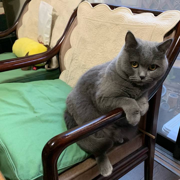 15856d9f aaf3 4dbb ba62 905579628552 1772704279938