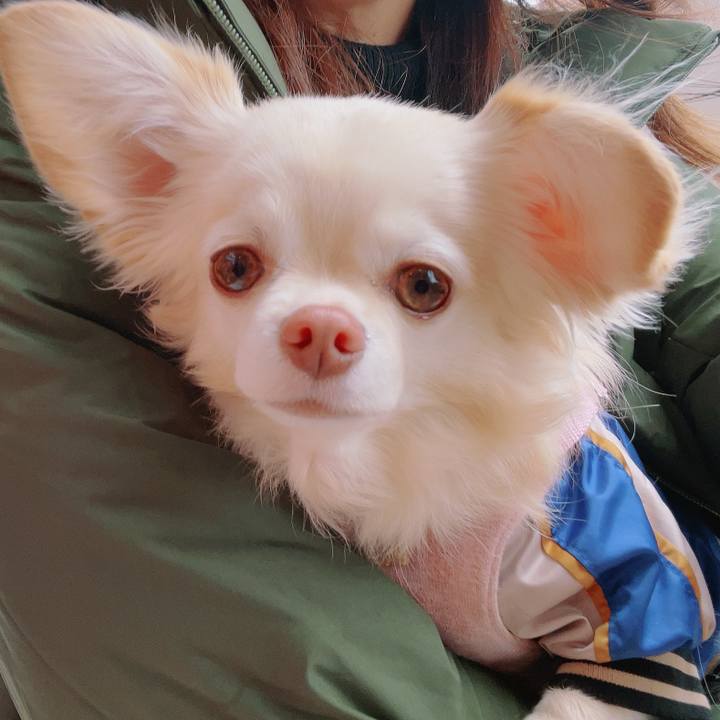 1585fa26 7aa7 4e80 a977 5e95dde37c48 1700998204692