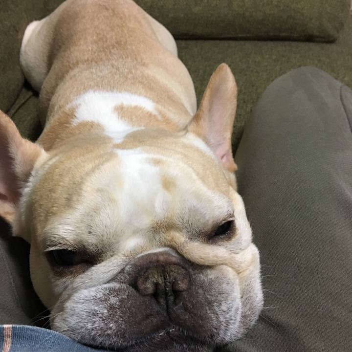 158614de 555f 48f7 954f 092f9b2a9be0 1526993839182