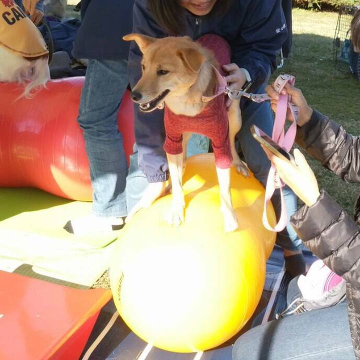 15863304 8562 4531 8e71 bae913a92683 1510487101068