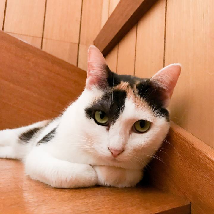 15864e7e 97b4 405f 8a3f 947f0fcf29f8 1532096548617