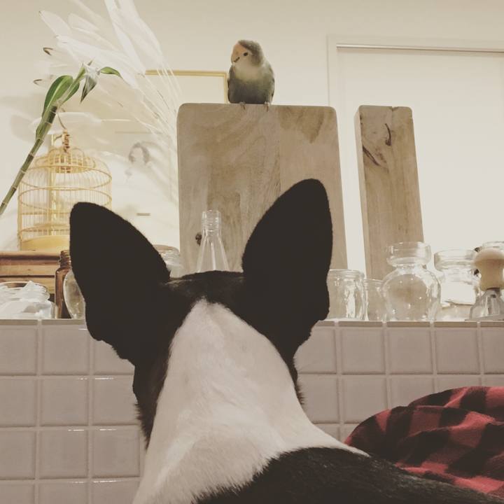 1586510c 7eae 40be b6e7 2757fa0187b9 1515717221462