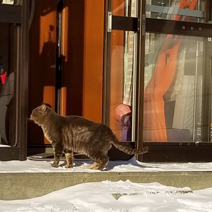 15865707 a323 415d ab89 c66c92483def 1549376904615