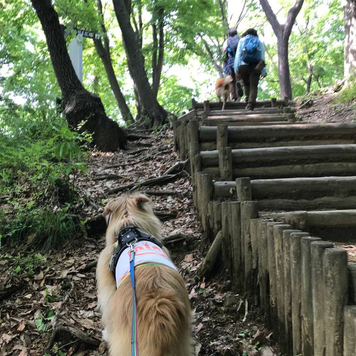 15866471 a0aa 4278 8baa 3f18034bae99 1651744110676