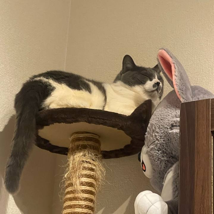 1586b7fa b553 4a44 abe2 37498535779f 1743439885926