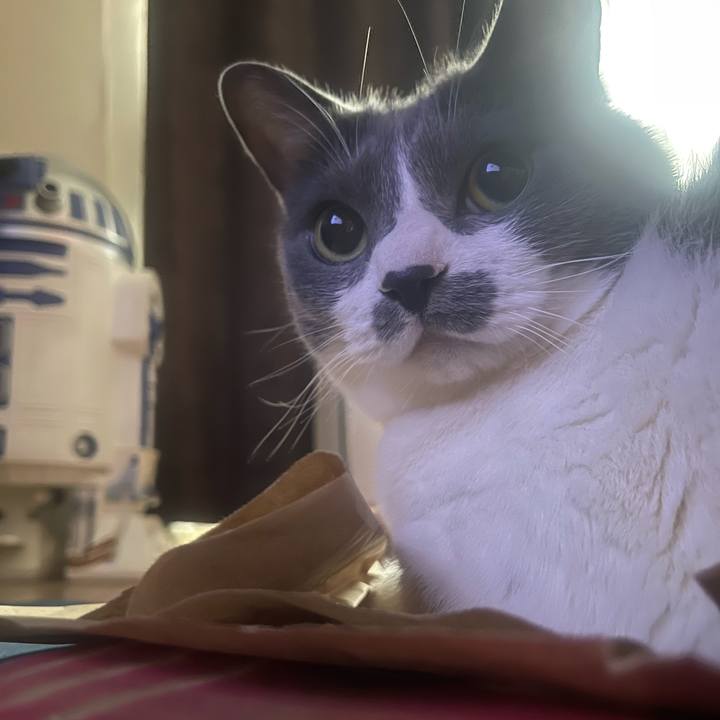 15870153 5adf 47ea 9c84 bf02b9cb63c9 1719608938687