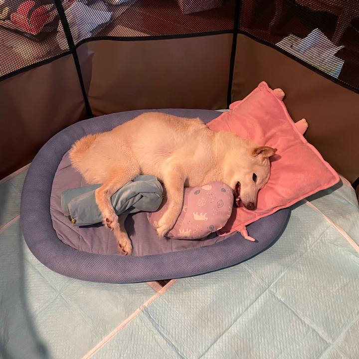 158707ae a683 4656 8089 1fee146bbcea 1655800866366