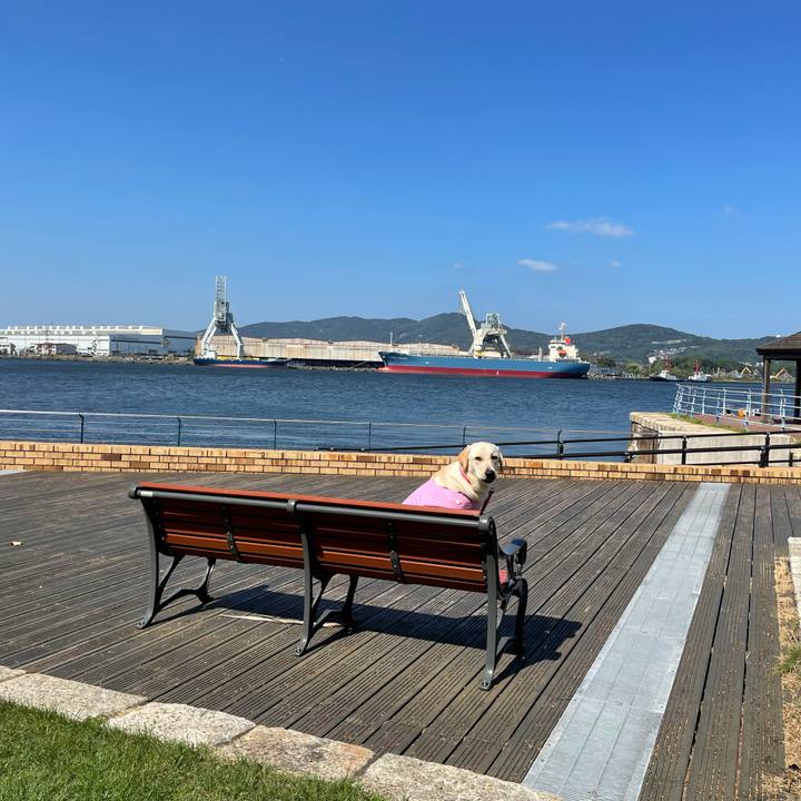 15870fd9 bdf0 43ab 9414 d59b9ebacfb2 1633748397067