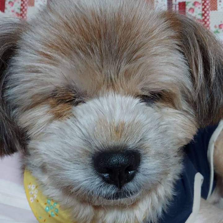 15874ea3 61e3 42b0 ba30 c72cdb7da5d5 1665325319653