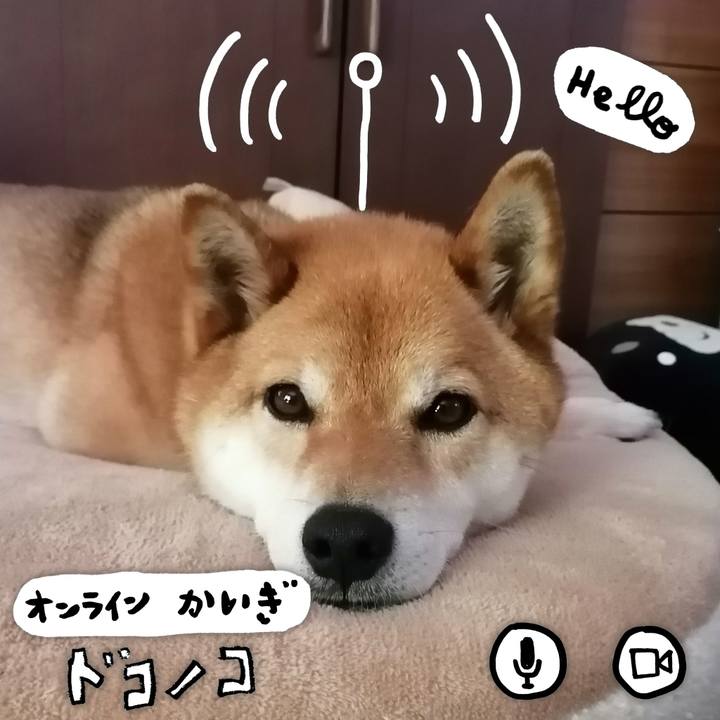 1587ccf6 d179 48f0 8b4b d8a2b1788677 1590677451748