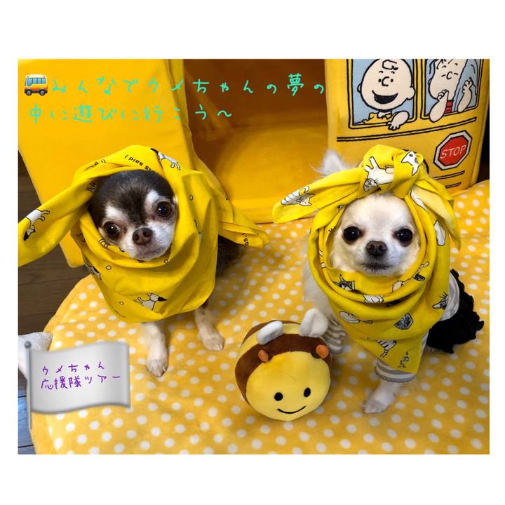 1587d122 3e44 425a 96c5 048e5a94ae20 1585290795224