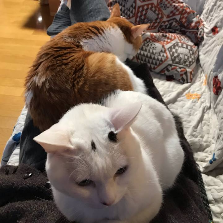 1588398d 6f6d 4026 8a7d 98038284c1b9 1578866852416