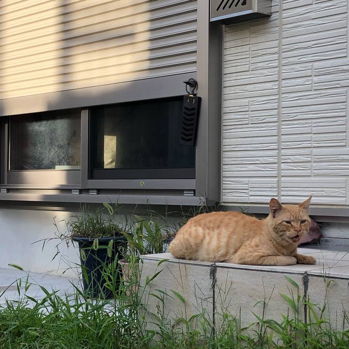 15884aca 774c 4824 b733 9bb6a99a106c 1565877098682