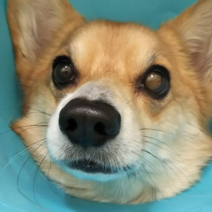 15886eaf 3dde 4d6b 9baa bf685b8e3d5d 1545354458836