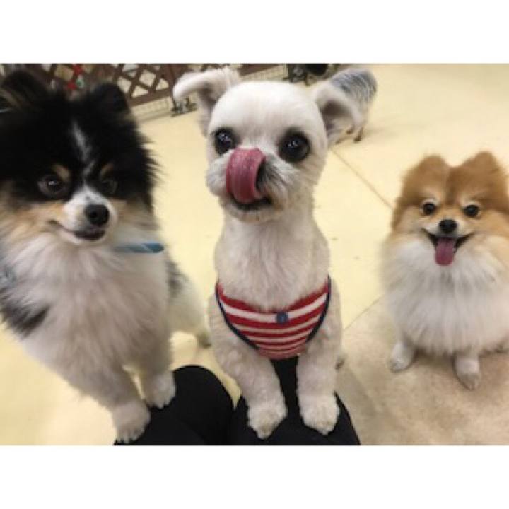 15887535 a8fd 4947 b58e d50d0e28da77 1552300280084